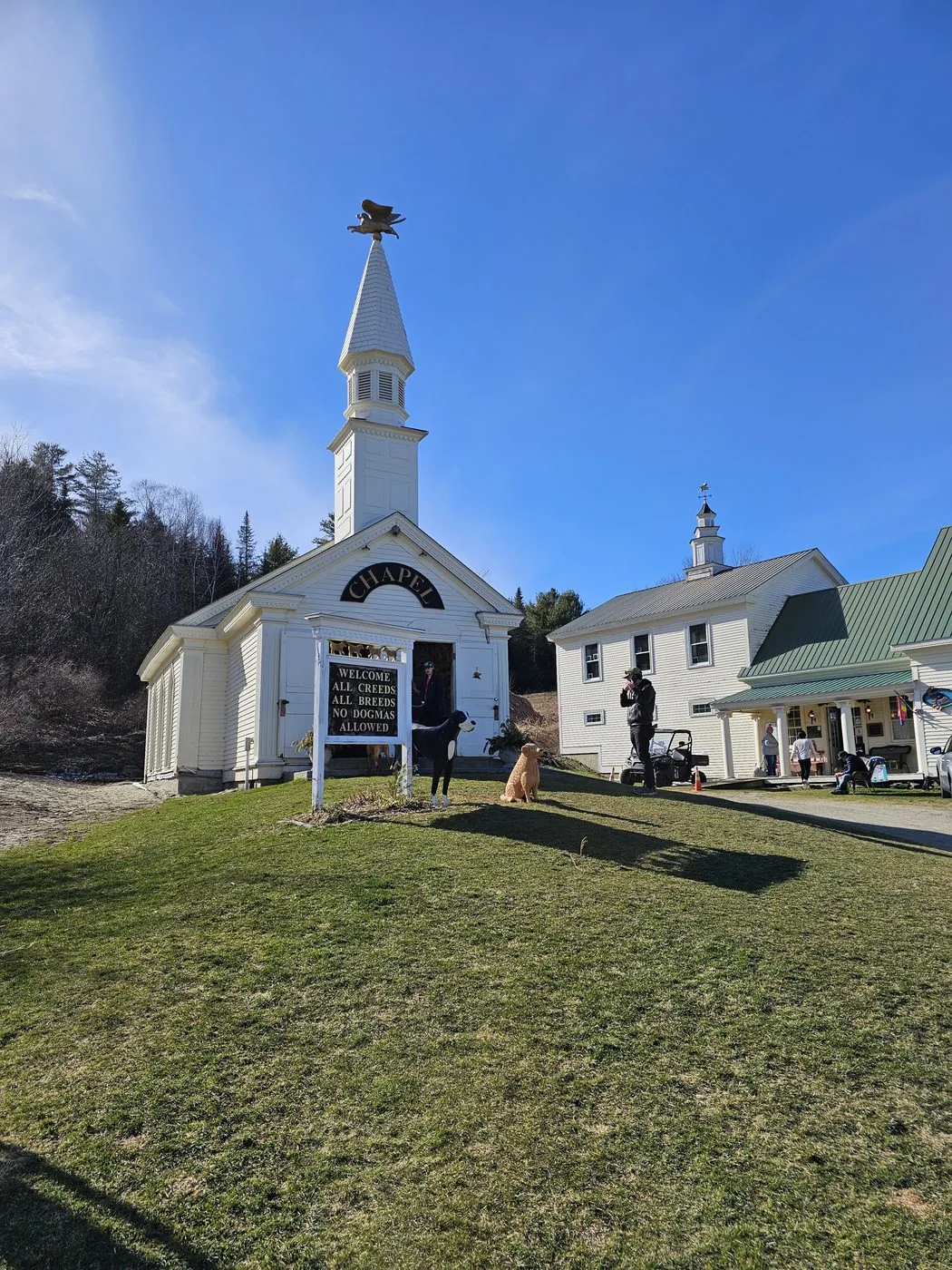 The white clapboard Dog Chapel at Dog Mountain under a clear blue sky, with a winged dog weathervane on the steeple and a sign reading All Creeds, All Breeds, No Dogmas Allowed.